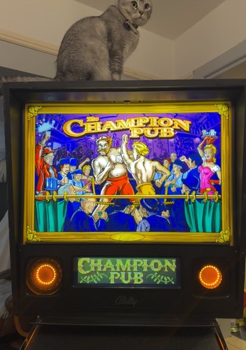 Rare champion pub pinball - rare,
